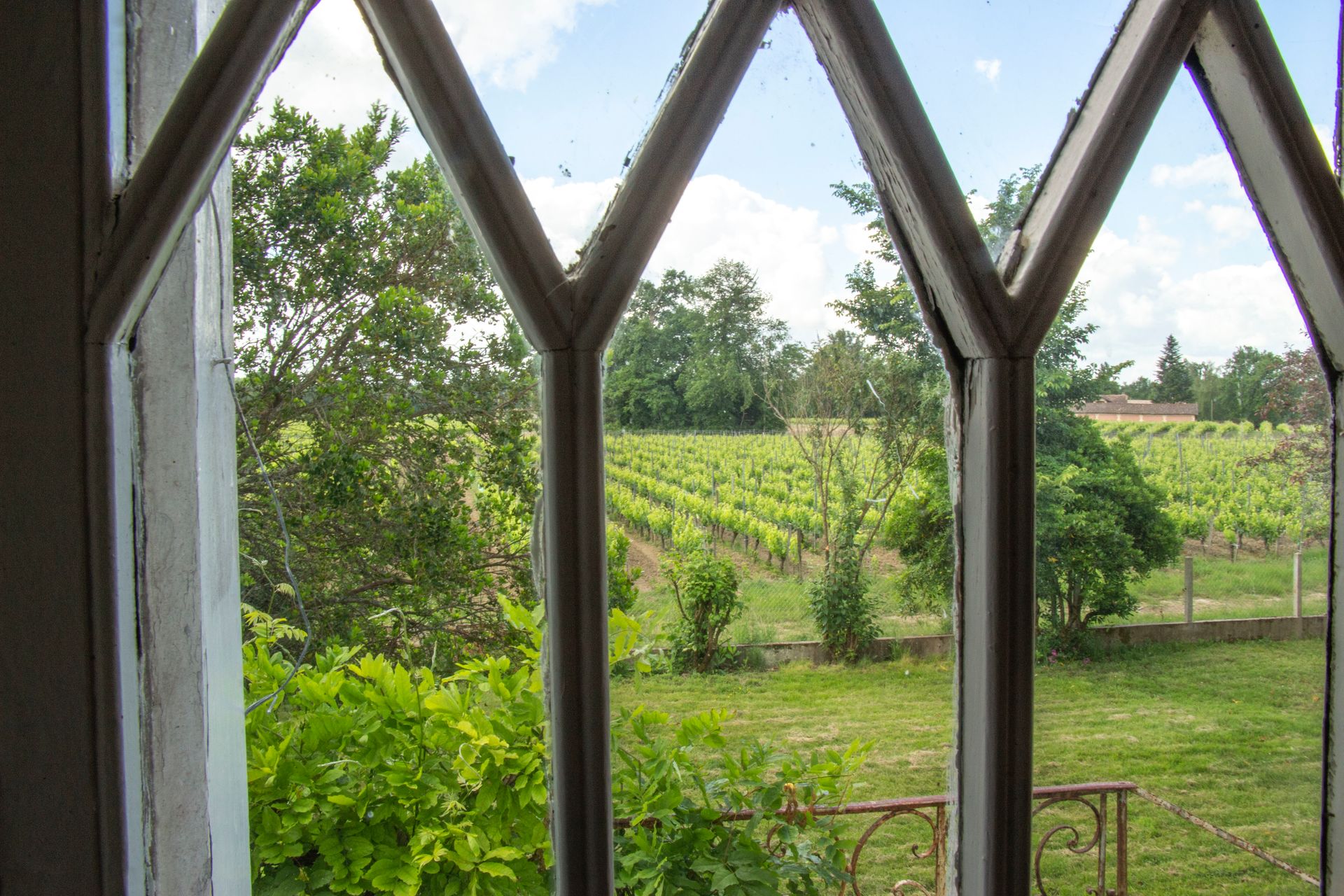 Vue du Vignoble des Côtes de Bourg du Château Fougas