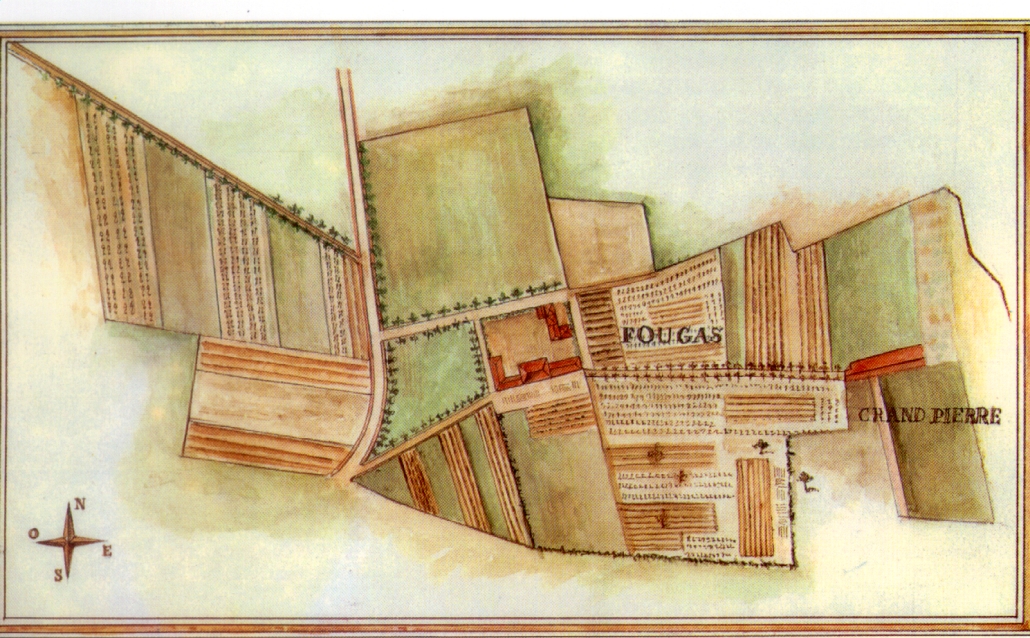 Plan Arpenteur du Château Fougas